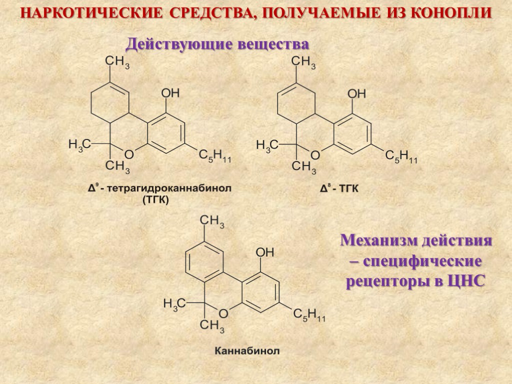 НАРКОТИЧЕСКИЕ СРЕДСТВА, ПОЛУЧАЕМЫЕ ИЗ КОНОПЛИ Действующие вещества Механизм действия – специфические рецепторы в ЦНС